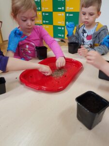 Na zdjęciu dzieci chłopiec i dziewczynka siedzący przy stole. Sadzą nasiona kopru do czarnych małych doniczek z ziemią